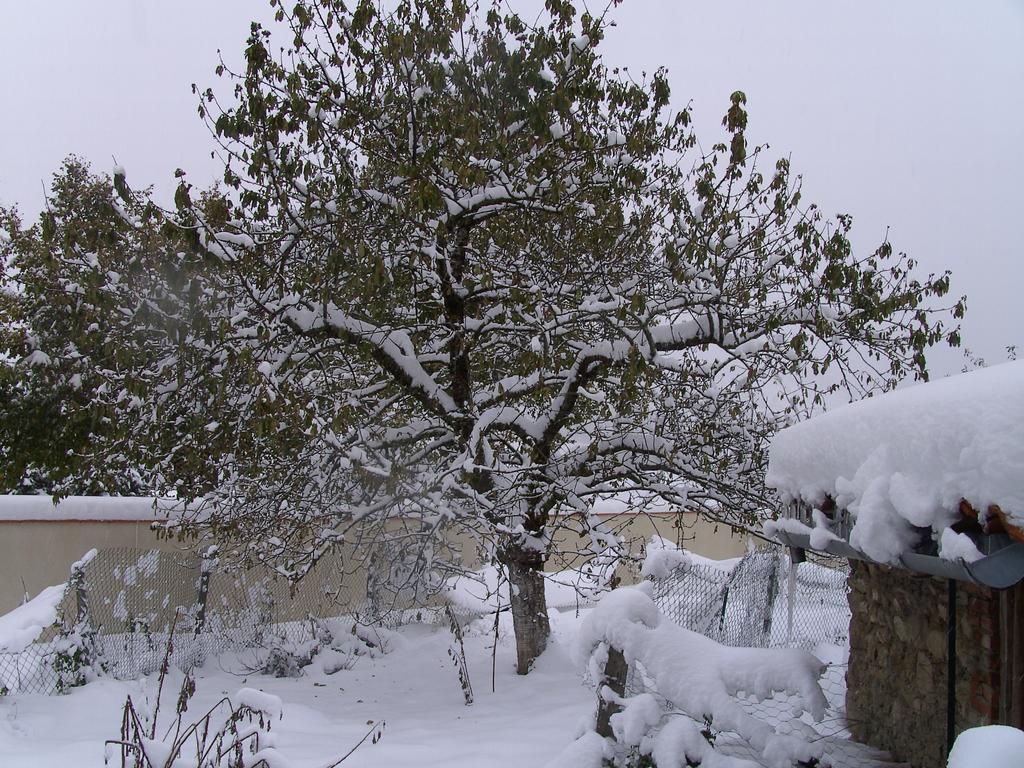 Cellier De La Fontaine Villa Saint-Georges-en-Couzan Bilik gambar