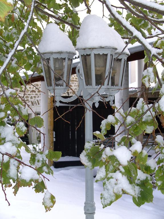 Cellier De La Fontaine Villa Saint-Georges-en-Couzan Bilik gambar